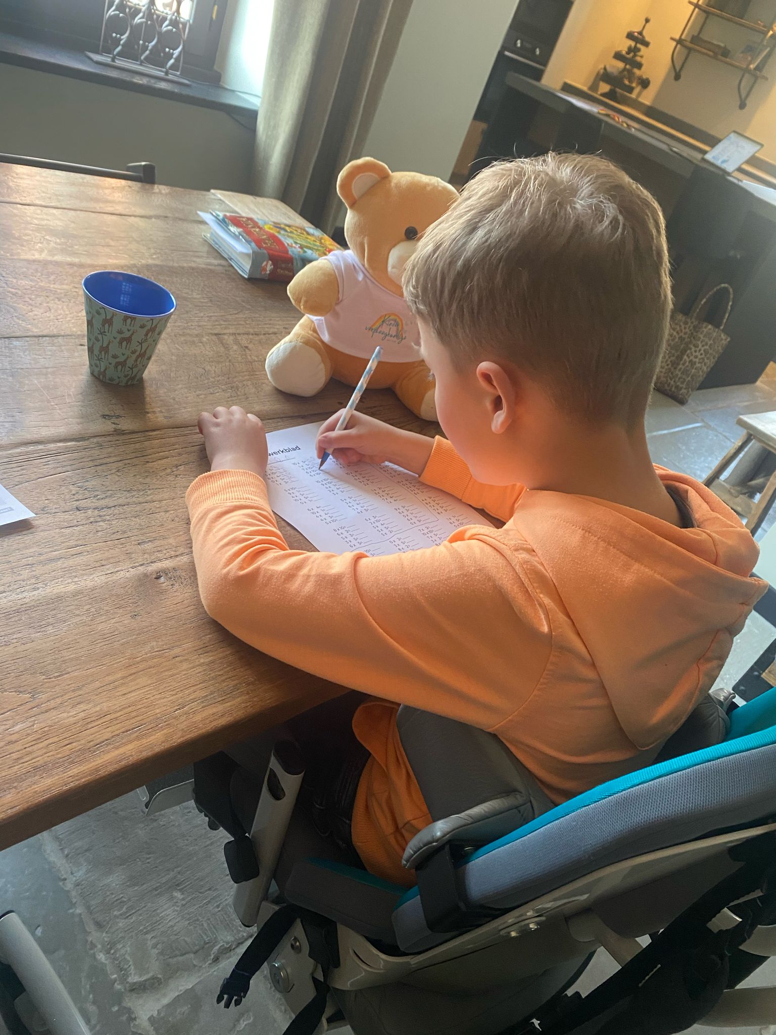 Pedagogische begeleiding